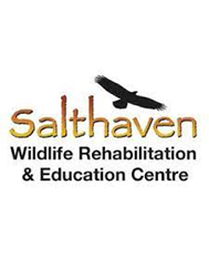 Salthaven logo