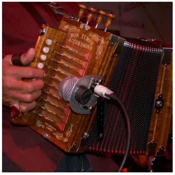 picture of a hand playing an accordion