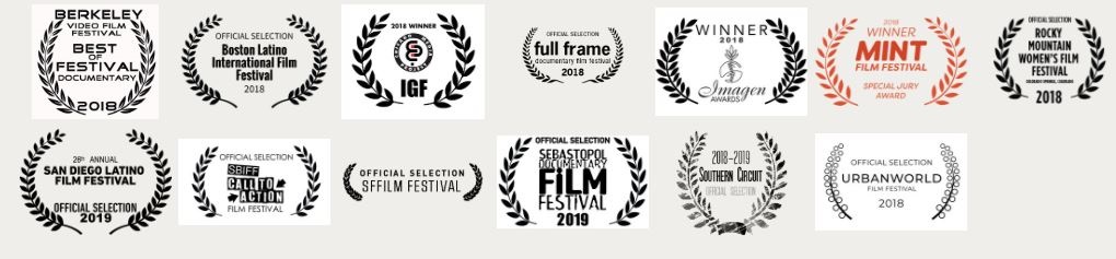 image of a collection of awards the film has won