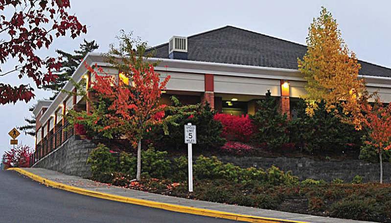 photo of another library building surrounded by more trees and other plants