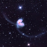 The long tails of these two colliding galaxies resemble an insect's antennae.