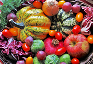 variety of fall vegetables