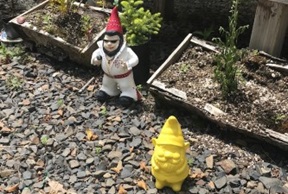 A bright yellow garden gnome is positioned a little way away from a garden gnome dressed like Elvis Presley.