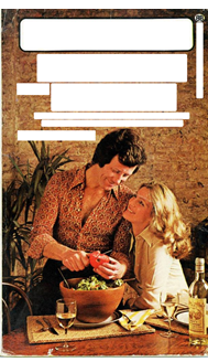 Book cover with text removed. Man chops veg while woman gazes adoringly at him. Both are styled in distinctly 70s fashions.