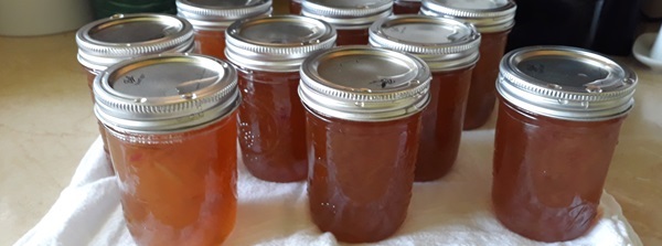 Jars full of jam