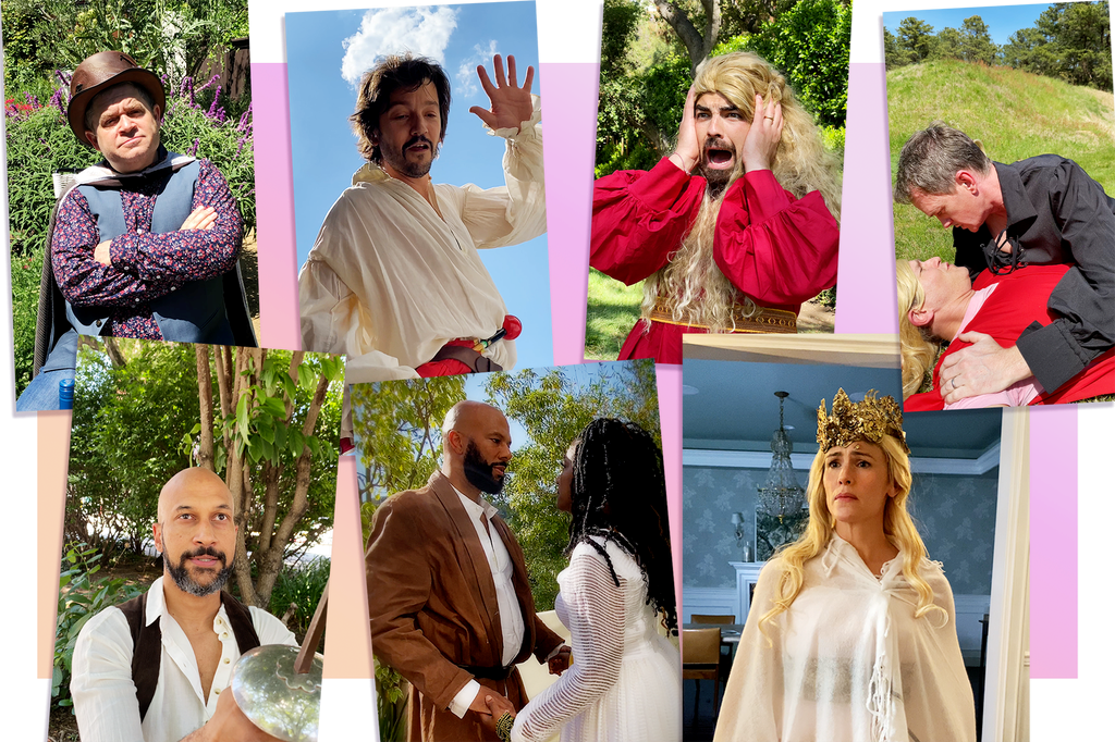 A collage of still images from this celebrity fan-made version of The Princess Bride.