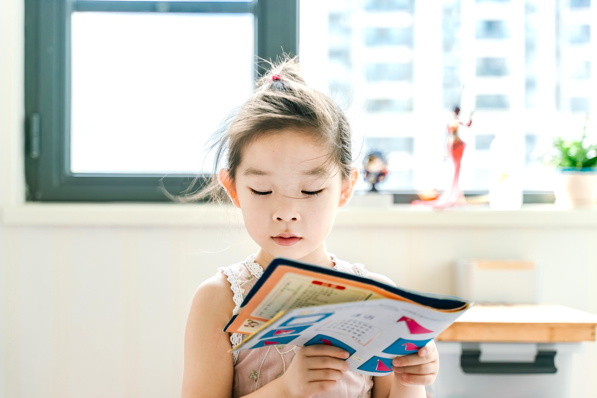 Young Girl Reading a Book
