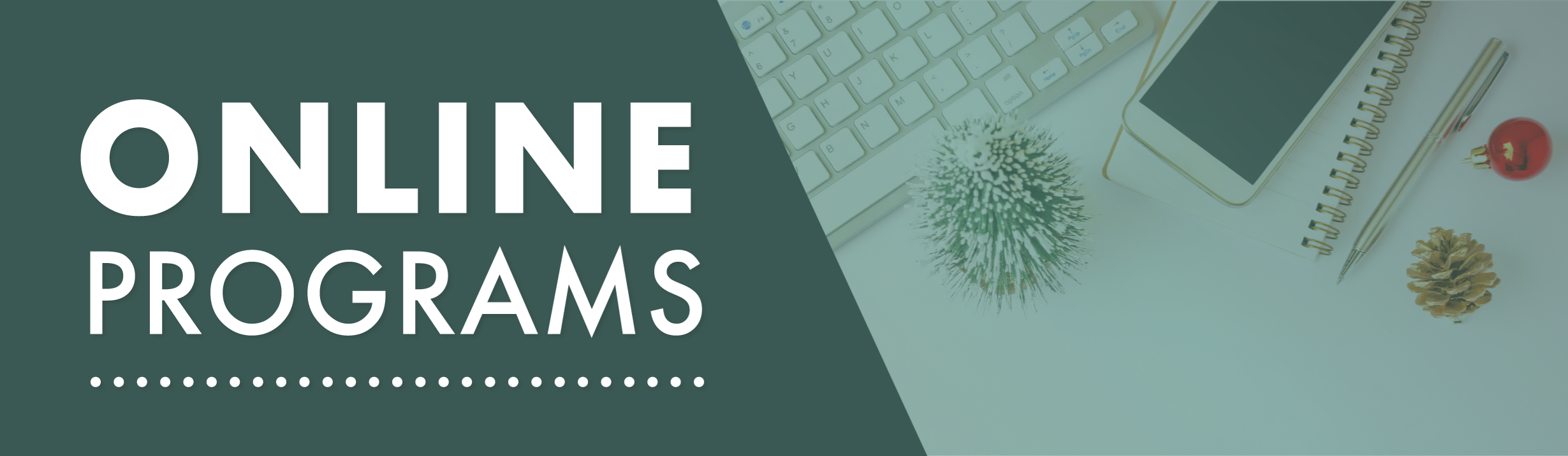 Online Programs - E-Blast Header - Winter Green
