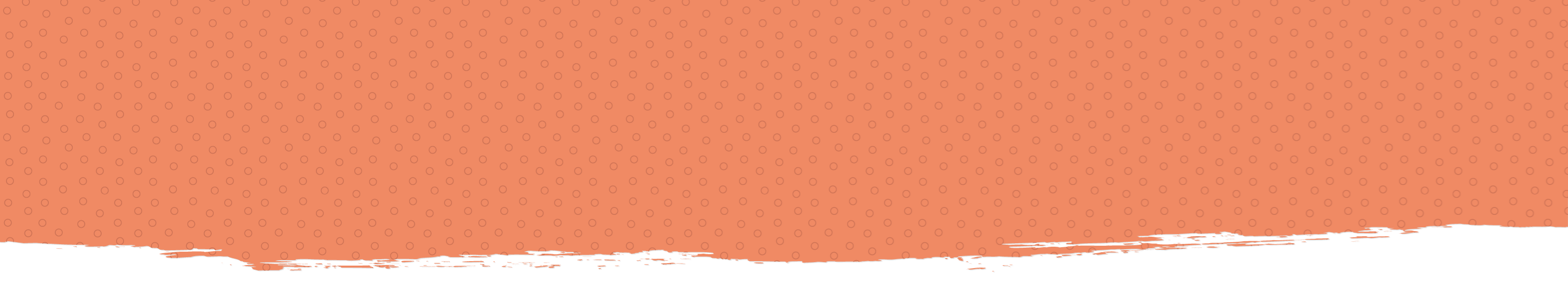 71f6d454-d285-4dd6-b605-2391952ca8d6?containerHeight=25&containerWidth=600&scaledHeight=109&scaledWidth=600&verticalOffset=-42&quality=95&dpi=120&horizontalOffset=0?w=600&h=25