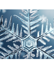 In Store Workshop - Snowflake Cutouts Wednesday, Jan. 10 - 4pm to 6pm