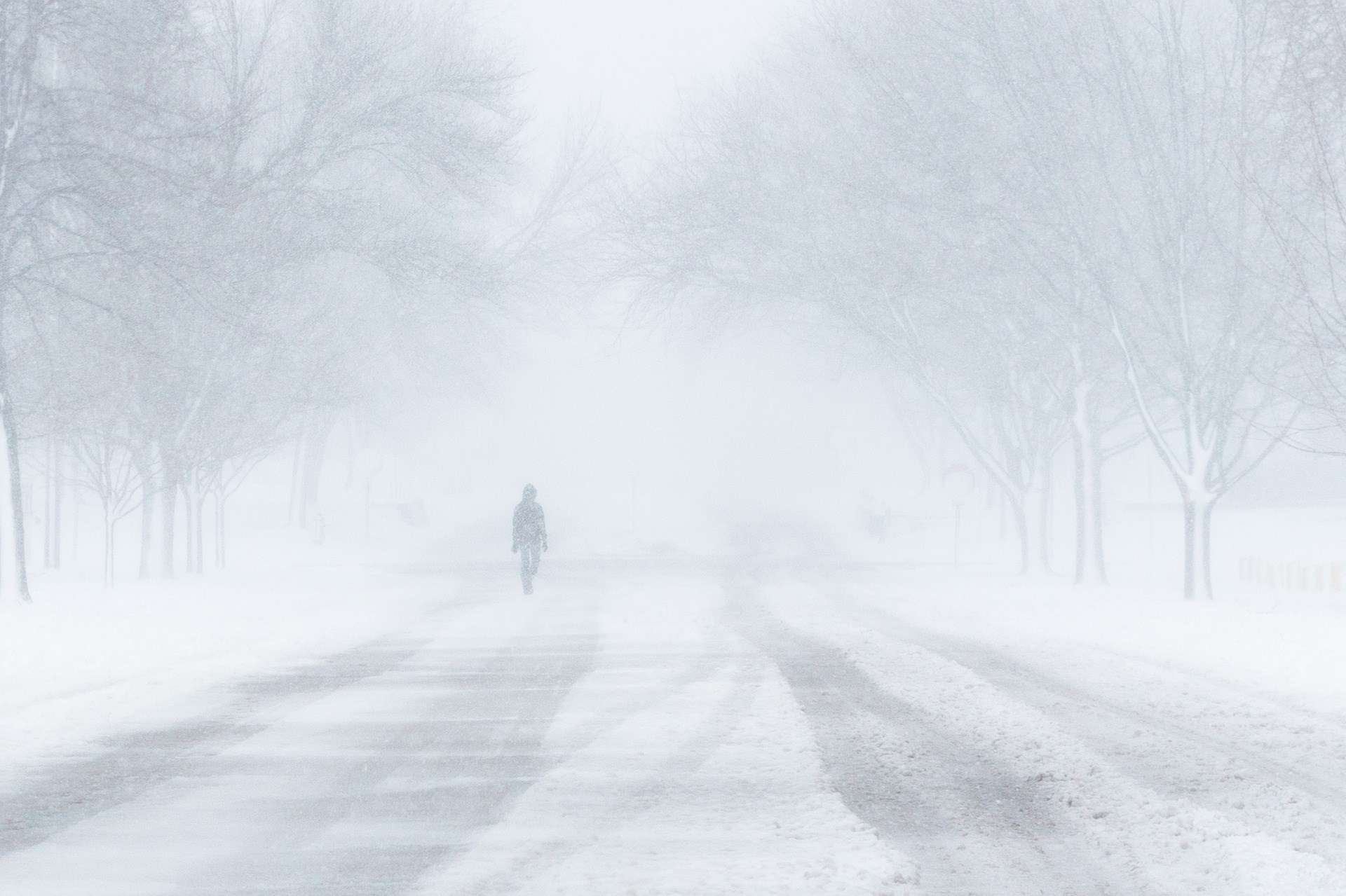 Person Walking in a Blizzard