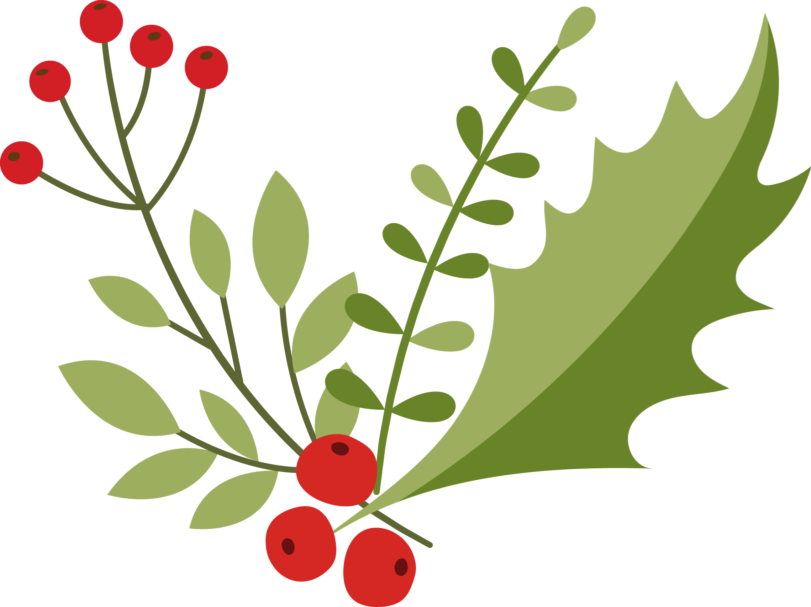 Holly berries