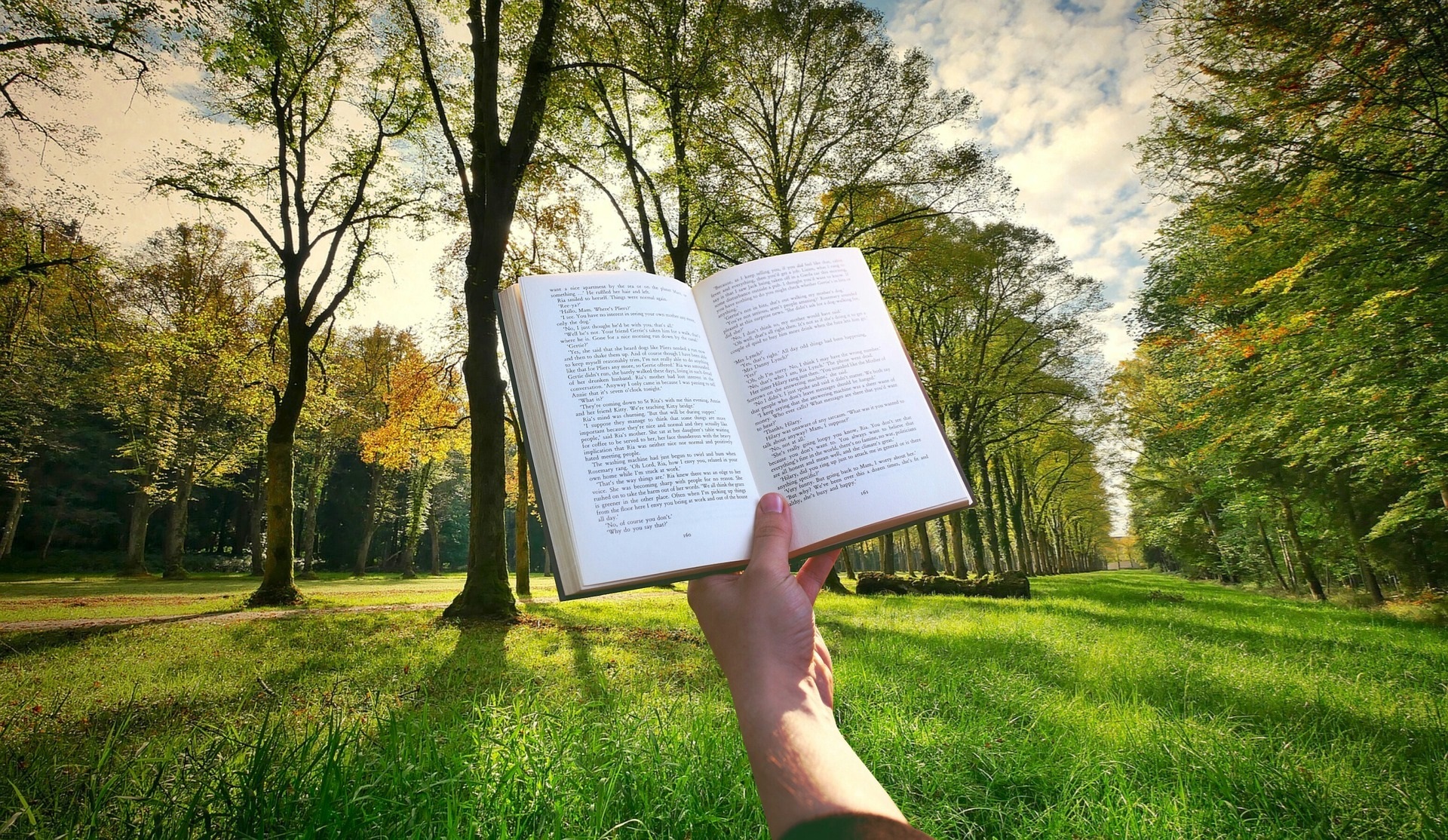 Young Woman Enjoying Reading a Book
