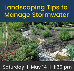 Landscaping Tips to Manage Stormwater on Saturday May 14 at 1:30 pm