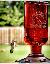 A hummingbird at a bird feeder