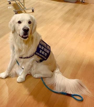Child Reading a Book Outdoors in the Fall