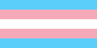 Transgender book Transgender book