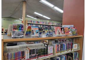 Display of various LGBTQIA+ media including graphic novels, books and dvds.