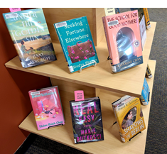 Images of new physical books on display at the Holbrook Public Library.