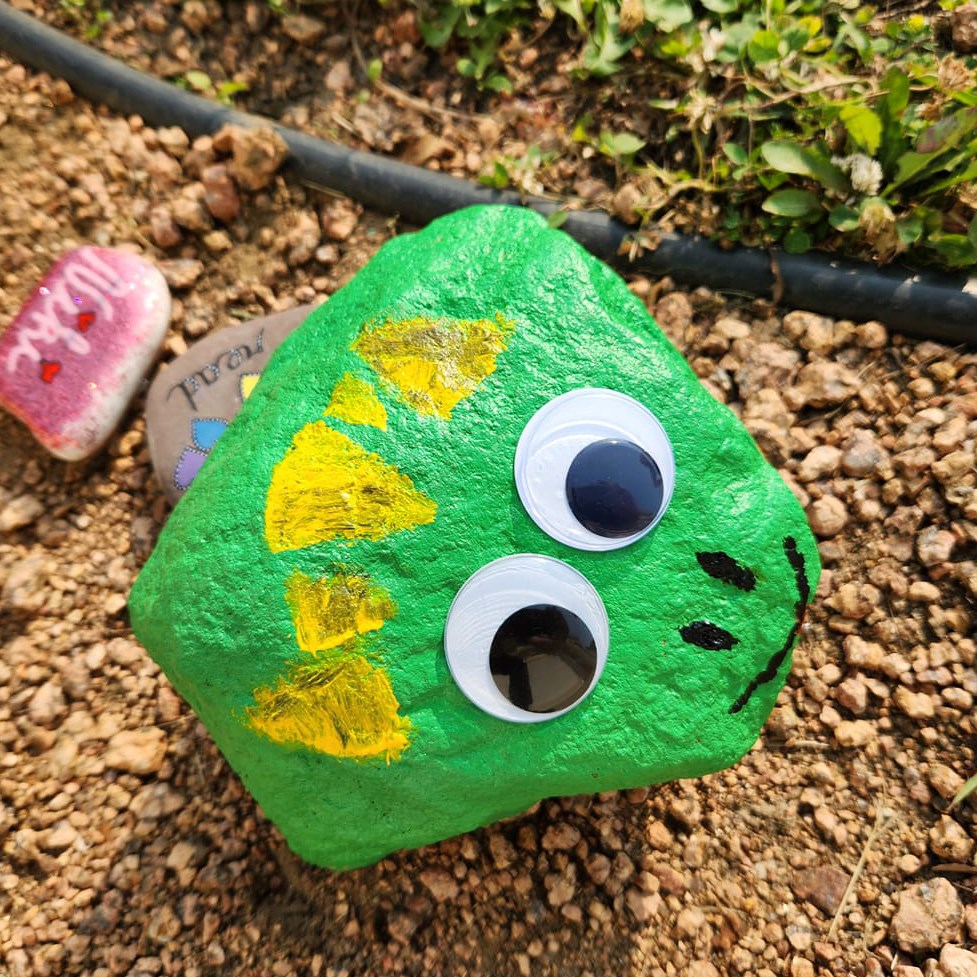 Painted rock to look like a snake head to make the rock snake named "Dwight"