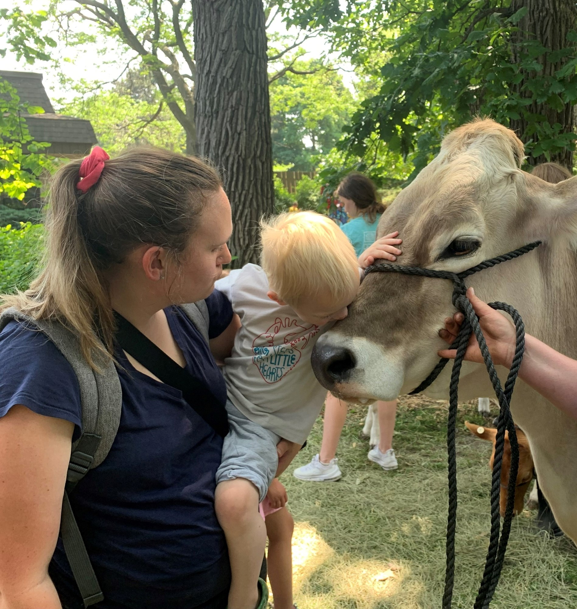 Mother is holding young boy who is leaning in to kiss a tan cow.