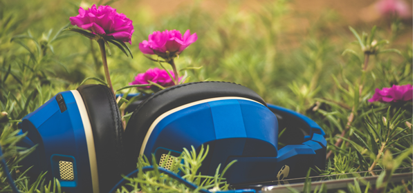 Blue headphones in grass surrounded by purple flowers