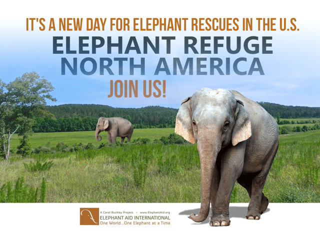 Elephant Refuge