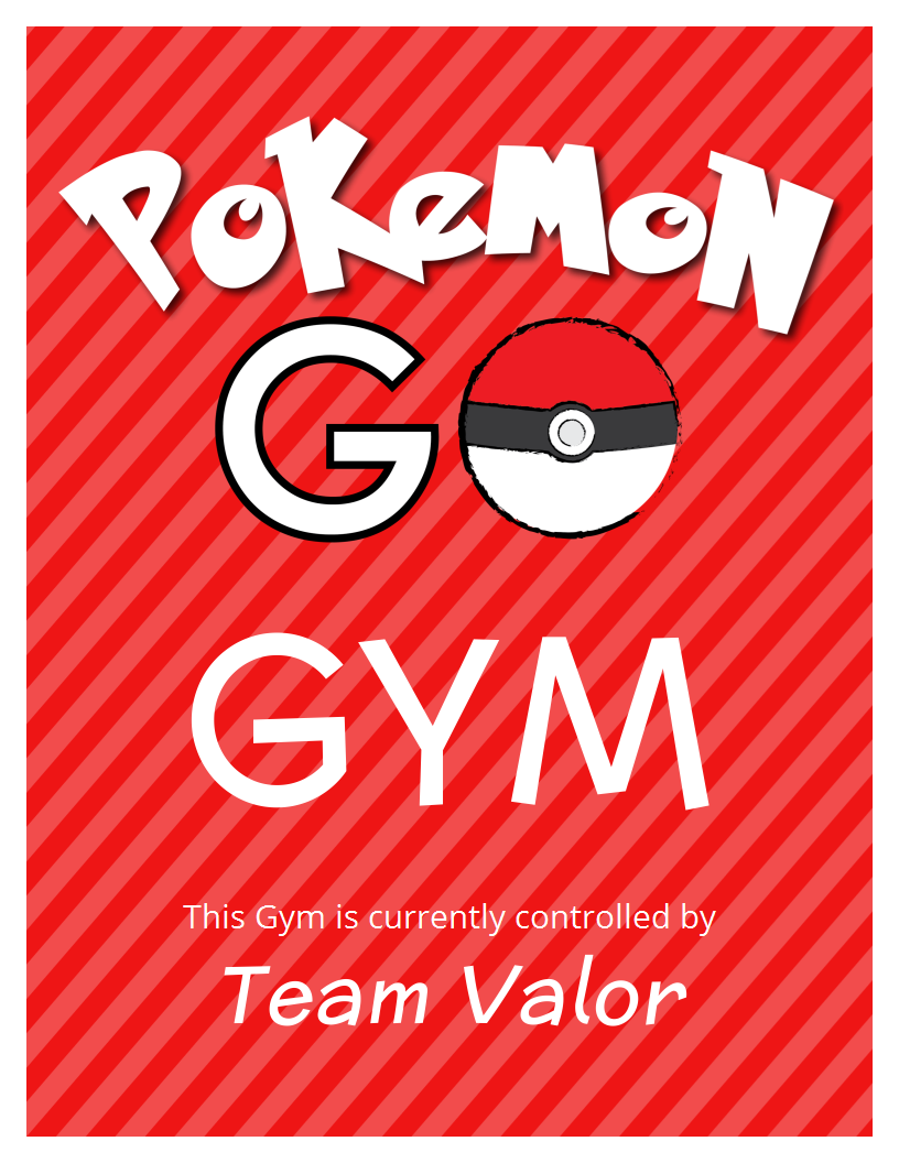 Team Valor