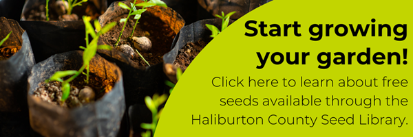 Start growing your garden! Click here to learn about free seeds available through the Haliburton County Seed Library.