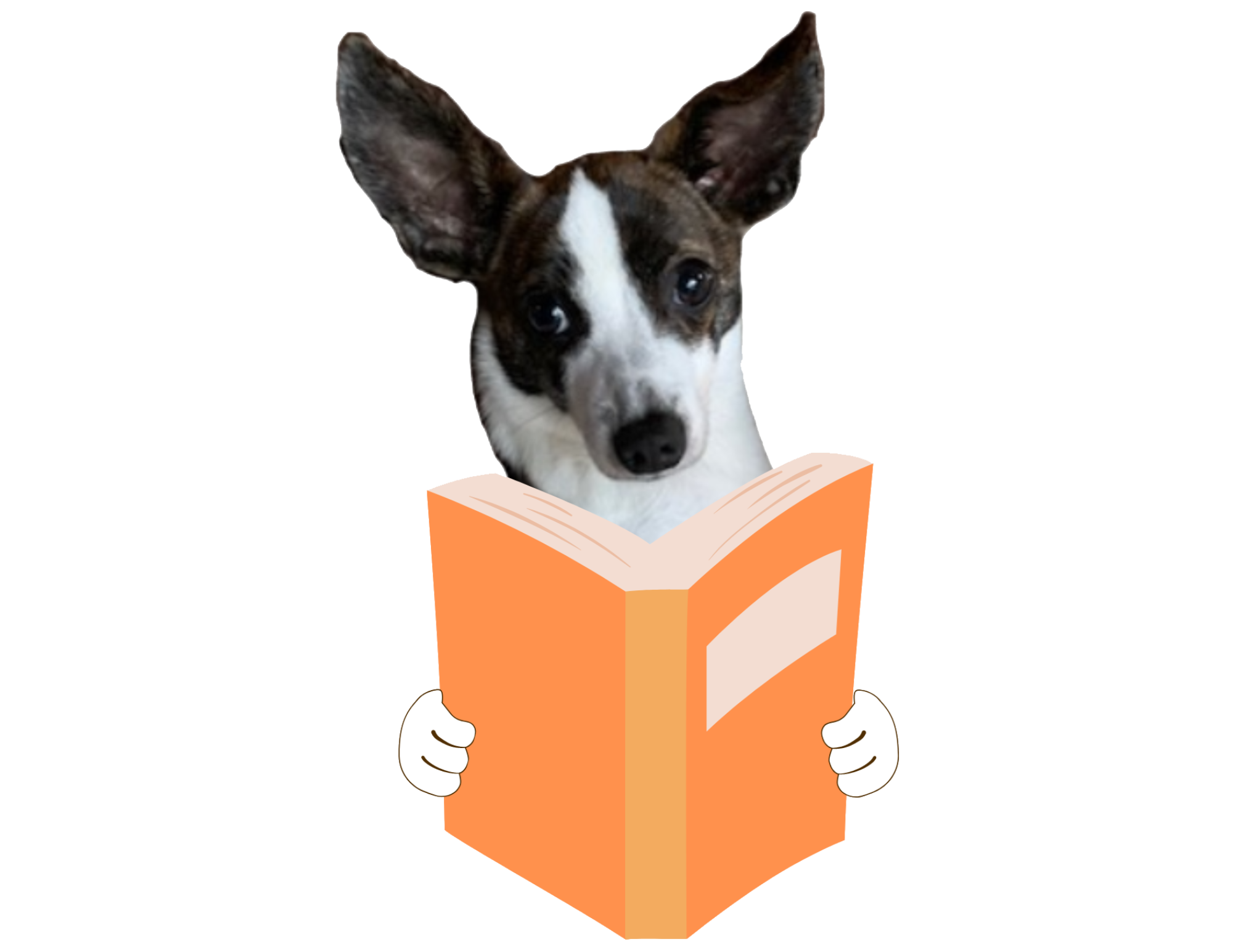 Child Creating a Space Rocket Craft Child Creating a Space Rocket Craft