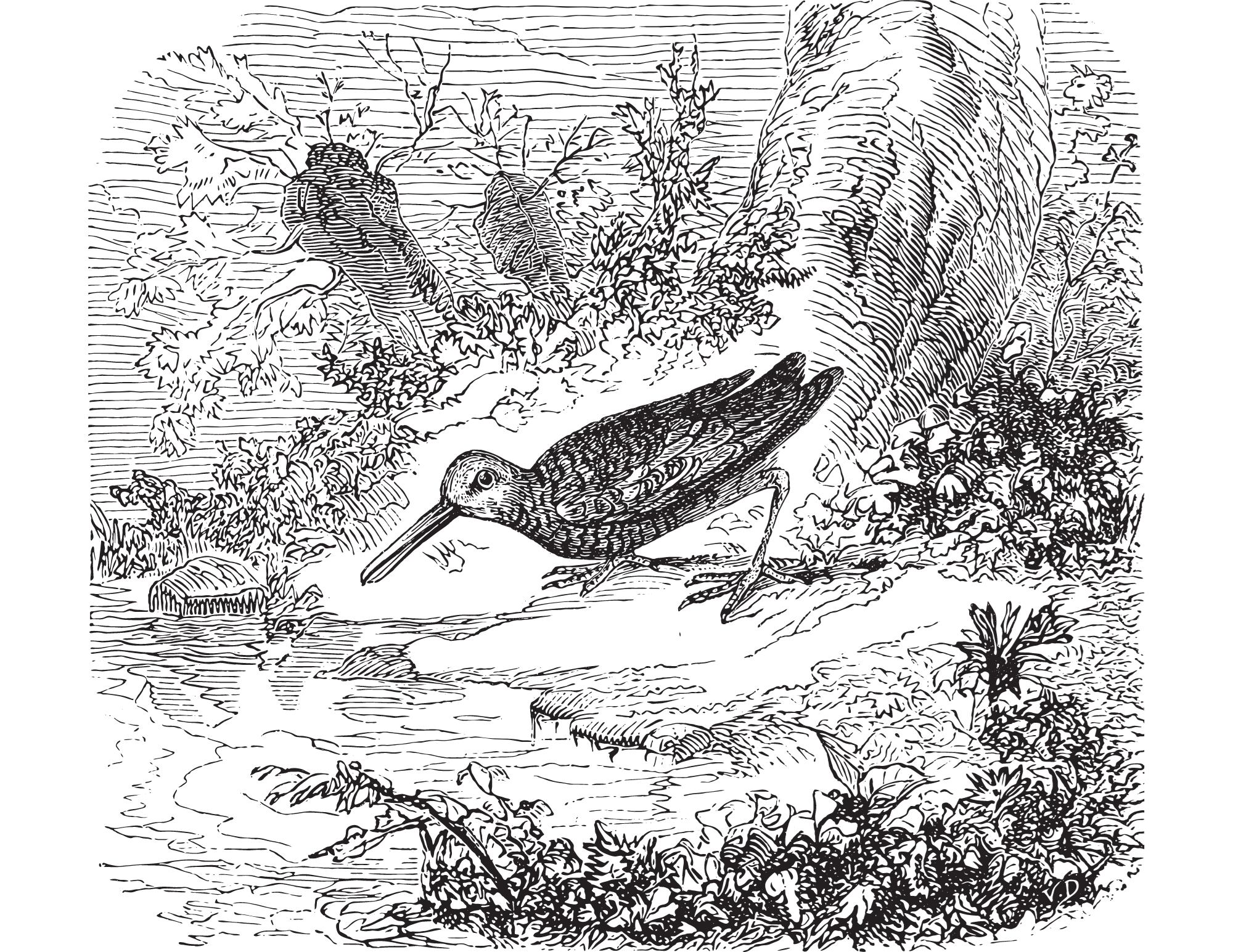 Padlocks on Railing Padlocks on Railing