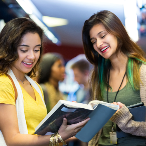 Librarian helping reader in the library