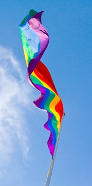 Image of a rainbow flag flying against a blue sky