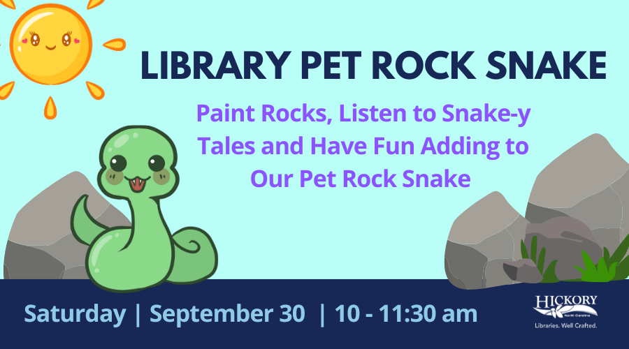 library-pet-rock-snake