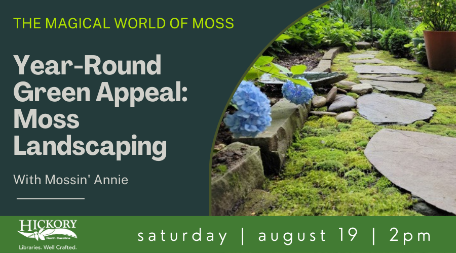 the-magical-world-of-moss-with-mossin-annie/