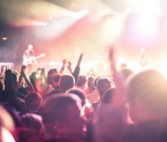 Image of a cheering crowd at a rock concert