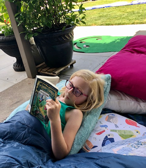 Picture of a Summer Reader