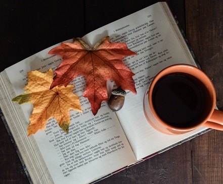 Leaves on open book with coffee cup