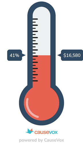 Fundraising thermometer at 41%.