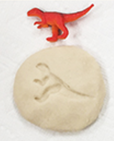 Plastic Dinosaur and Fossil