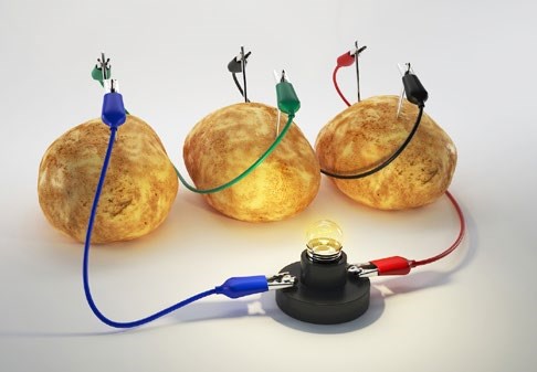potato powered light