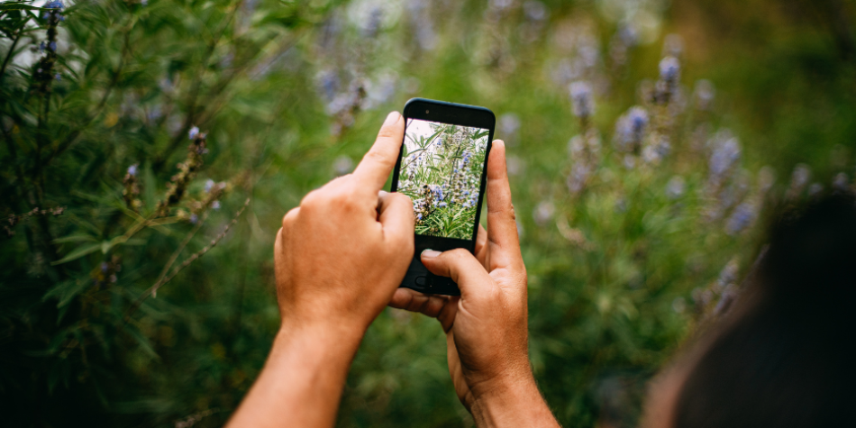 Young Girl Reading an Open Book in the Library