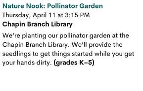 Nature Nook: Pollinator Garden
Thursday, April 11 at 3:15 PM
Chapin Branch Library

We’re planting our pollinator garden at the Chapin Branch Library. We’ll provide the seedlings to get things started while you get your hands dirty. (grades K–5)