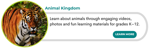 Animal Kingdom
Learn about animals through engaging videos, photos and fun learning materials for grades K–12.
Learn more press here