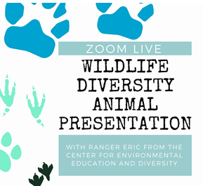 Graphic for Wildlife Diversity program with paw prints of different animals