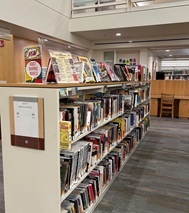 Photo of the Adult Graphic Novel collection
