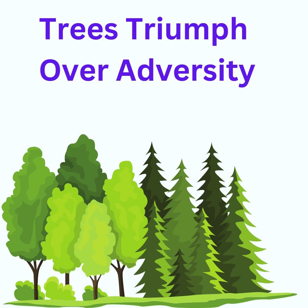 White House by the Sea