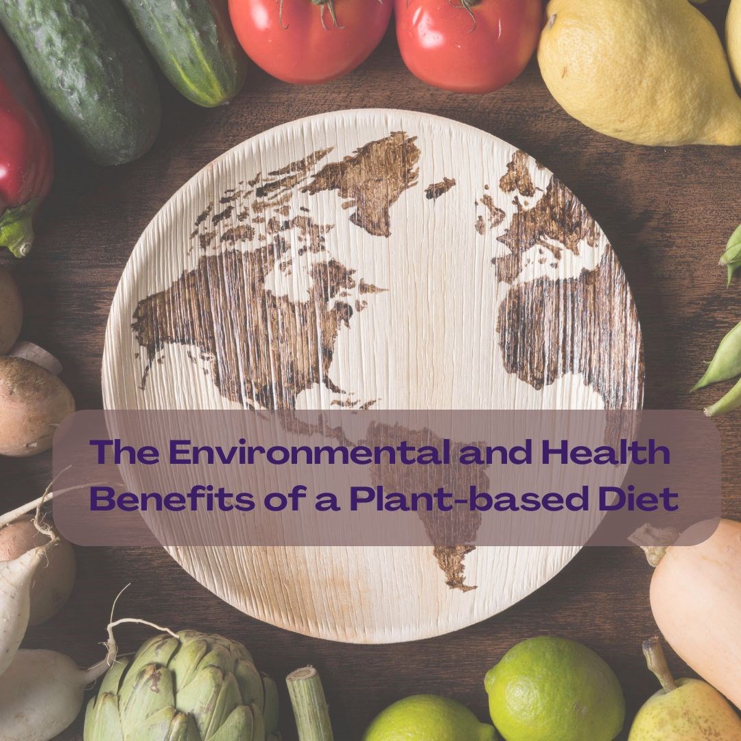 White House by the Sea