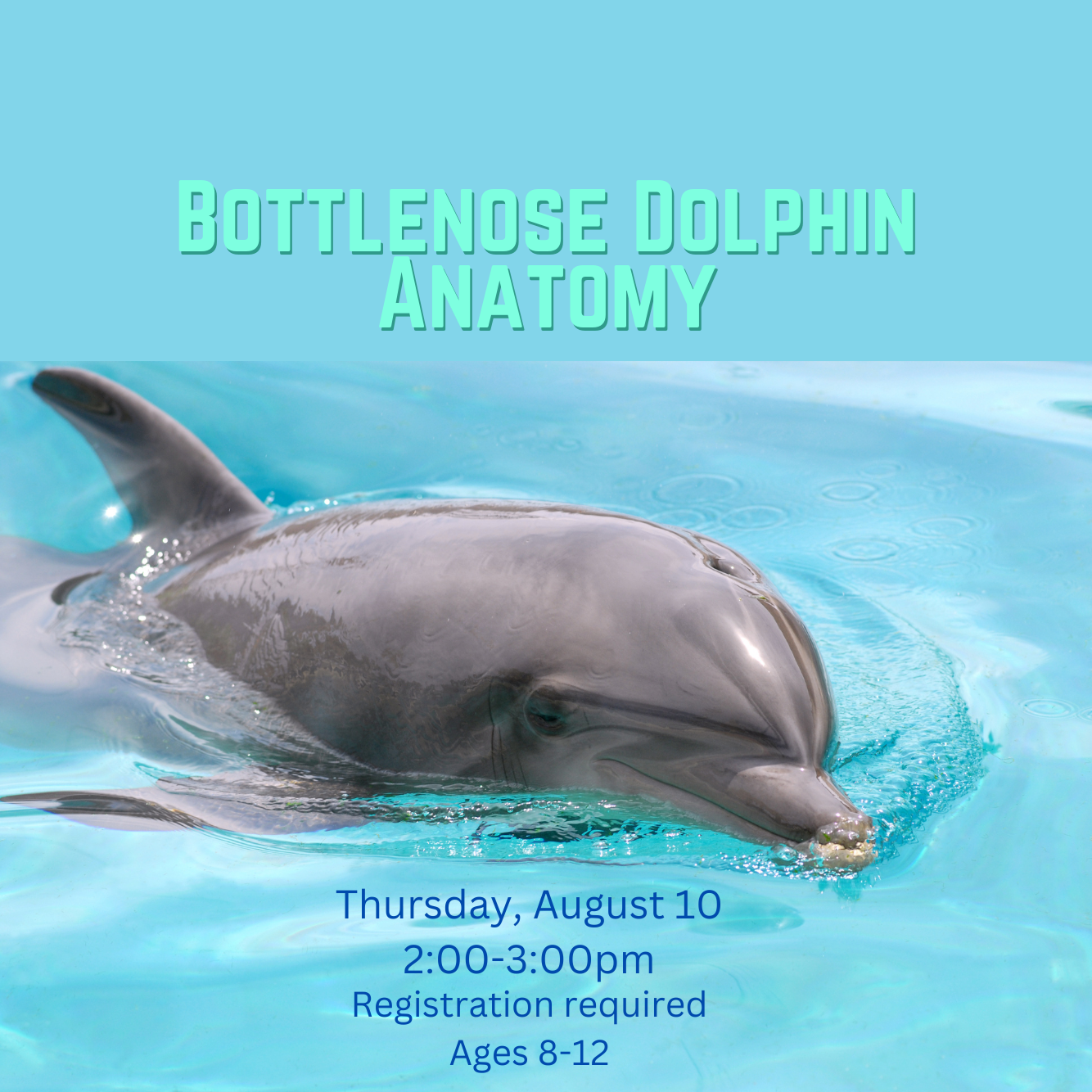 Child Reading a Book Outdoors in the Fall