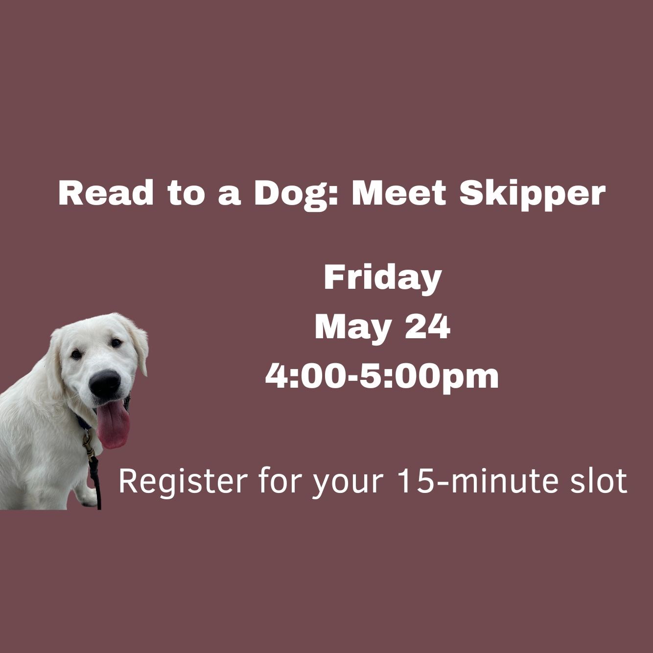 Child Reading a Book Outdoors in the Fall